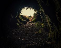 a dark tunnel with trees growing out of it's sides and the light at the end