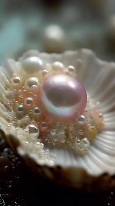 an image of a pearl in a shell