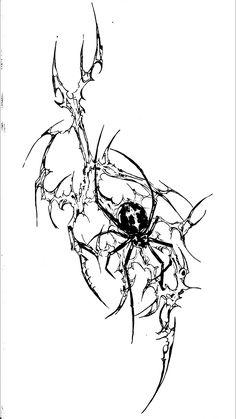 black and white drawing of a spider crawling on the side of it's body