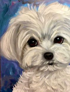 a painting of a small white dog with brown eyes and long hair, sitting in front of a blue background