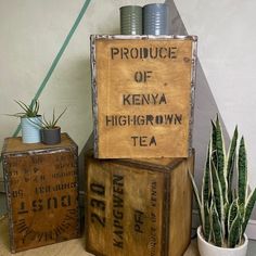 two wooden boxes with signs on them sitting next to a potted plant