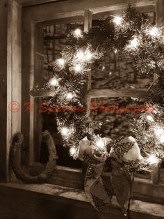 two birds sitting on a window sill with christmas lights in the windowsills