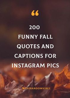 leaves with the words 200 funny fall quotes and captions for instagram pics