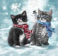 two kittens wearing scarves and scarfs are sitting in front of snowflakes