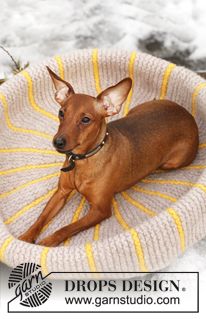 a small brown dog laying in a yellow and white bowl on top of snow covered ground