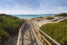 a wooden walkway leading to the beach