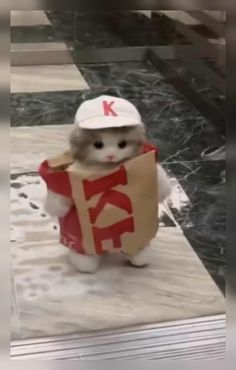 a cat dressed up like a mcdonald's employee holding a ketchup bag