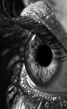 black and white photograph of an eye looking into the distance