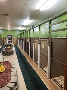 an indoor dog kennel with green walls and fences