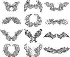 a collection of different types of wings in various shapes and sizes on a white background