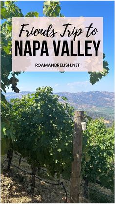 Looking for Napa Valley trip ideas with friends or a girls trip? This Napa Valley travel guide has a perfect Napa Valley itinerary! From the best Napa Valley wineries to Napa restaurants, there’s plenty to enjoy, even if you're looking for things to do in Napa besides drink. Explore Napa Valley in December or January, find out where to stay in Napa Valley, and get insider tips for your Napa trip, whether it’s a weekend or a longer vacation!