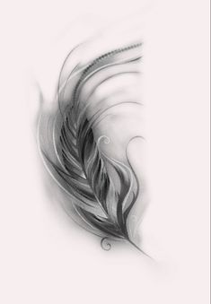 a black and white drawing of a feather