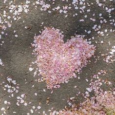 a heart shaped piece of pink petals on the ground