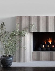 a modern fireplace in a living room with an olive tree and potted plant next to it