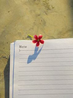 a note with a flower on it sitting next to the sand at the edge of the water