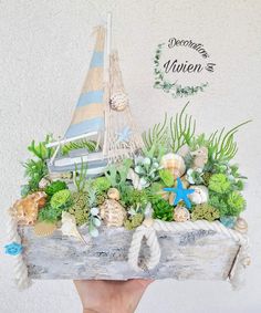 a hand holding up a wooden box filled with plants and seashells