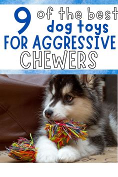 aggressive chew toys for dogs Diy Indestructible Dog Toys, How To Make Dog Toys Diy, Diy Chew Toys For Puppies, Diy Dog Toys For Heavy Chewers Easy, Super Chewer Dog Toys, Diy Busy Toys For Dogs, Best Chew Toys For Puppies, Homemade Puppy Toys, Puzzle Toys For Dogs