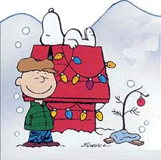 a charlie brown christmas card with the words namaste, charlie brown