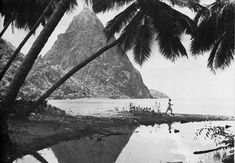 a man standing on top of a beach next to palm trees