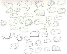 a bunch of animals that are drawn on paper