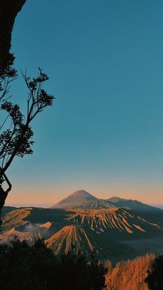 a view of a mountain with trees in the foreground and a blue sky above