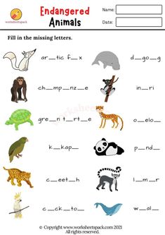 an animal themed worksheet for kids to learn how to read and write animals