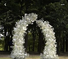 an arch made out of white flowers in the middle of a park with trees behind it