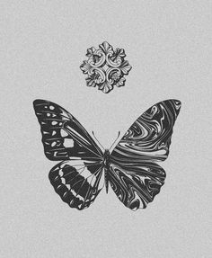 a black and white drawing of a butterfly