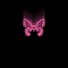 a pink butterfly on a black background