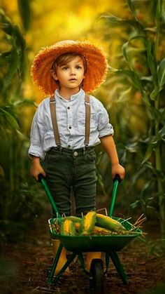 a little boy with an orange hat is pushing a wheelbarrow full of corn