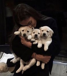 a woman holding three puppies in her arms