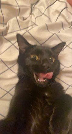 a black cat laying on top of a bed with it's tongue hanging out