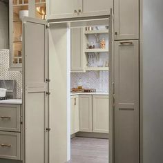 Secret Pantries - Photos & Ideas | Houzz Welcome Kit, Hidden Pantry, Desain Pantry, Kitchen Cabinet Organization, Elegant Kitchens, Diy Kitchen Cabinets, Walk In Pantry