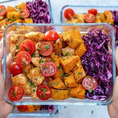 two hands holding up a glass dish filled with vegetables and tofu, on top of purple cabbage