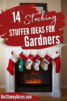 Do you need some Gardening Stocking Stuffers ideas. I have 14 garden stocking stuffer gifts you can give that gardener on your christmas list! Find other gardening ideas about vegetable gardening, and planting a garden. Good Bones, Stocking Stuffer Gifts, Organic Vegetables, Christmas Is Coming, Gardening Ideas, Stocking Stuffer