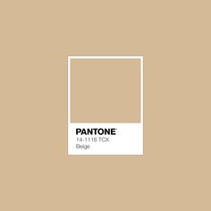 pantone's beige color is shown with the word, blotge on it