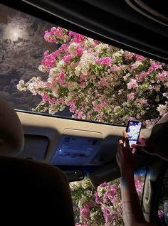 the view from inside a car looking at pink flowers