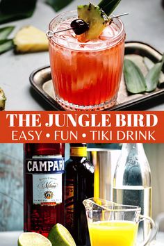 the jungle bird easy and fun tiki drink