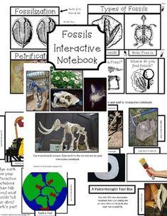 an interactive notebook with pictures of animals and their names, including the fossilist's name