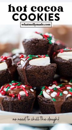 chocolate cupcakes with white frosting and sprinkles on a plate