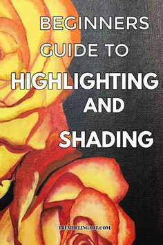 the beginner's guide to highlighting and shading book cover image