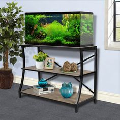 a fish tank sitting on top of a shelf next to a potted plant in a living room