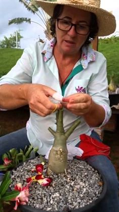 a woman in a straw hat is cutting up a small tree