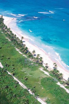 an aerial view of a beach with palm trees on the shore and blue water in the background