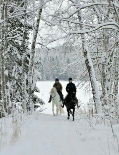 two people riding horses through the snow in front of some trees with no leaves on them