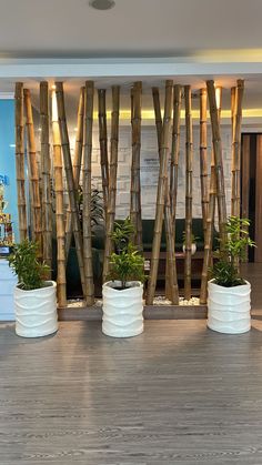 three white planters with plants in them on a wooden floor next to a wall