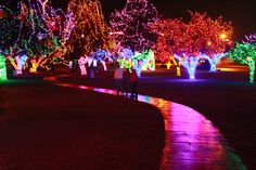 two people are standing in the middle of a path that is lit up with christmas lights