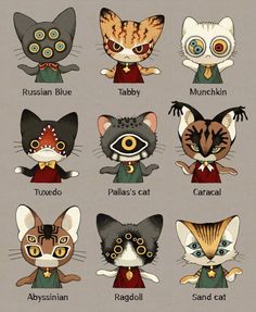 the different kinds of cats are shown in this cartoon character's head and body