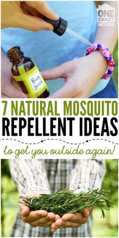 the top ten natural mosquito repellent ideas to get you outside again, and how to use them