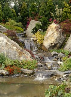 a small stream running through a lush green forest filled with lots of rocks and flowers